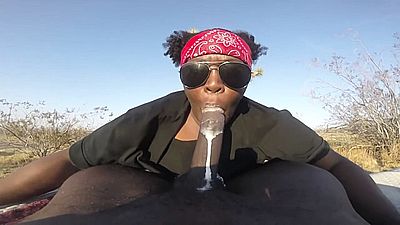 Лучшее с животными
